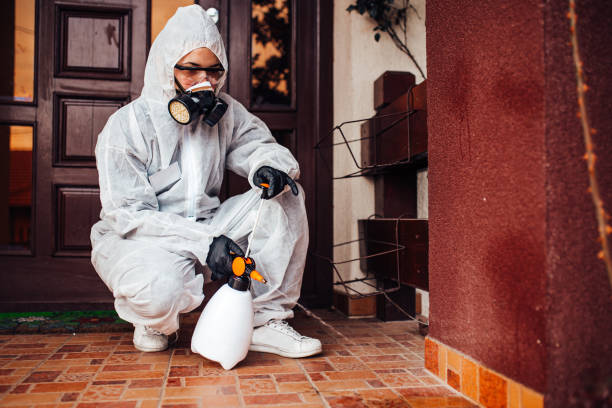 Reliable Cockroach Control contractor in Flowood, MS by Nex Pest Control